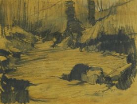 Emerson Hayes 1997 - River Edge, charcoal, chalk and graphite, inscribed Arcturus Fine Art Limited