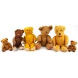 Six early 20th century and later teddy bears, some with straw filling, the largest 62cm high