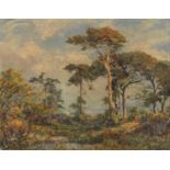 L Colberne ?- Wooded trees and landscape, oil on board in a gilt frame, 57cm x 44cm excluding the