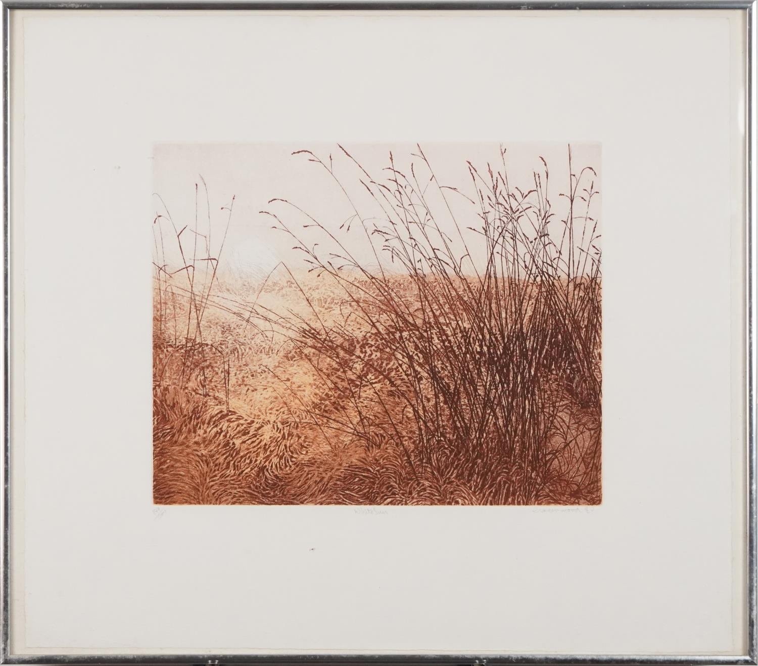 Phil Greenwood - White Sun and Border Country, two pencil signed etchings and aquatints with - Image 7 of 10