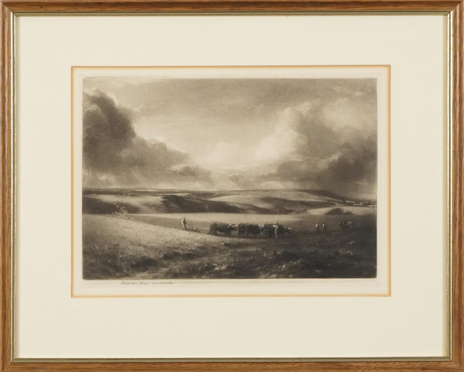 Norman Hirst - Ploughing in a field with Oxon , pencil signed mezzotint, copyright published - Image 2 of 6