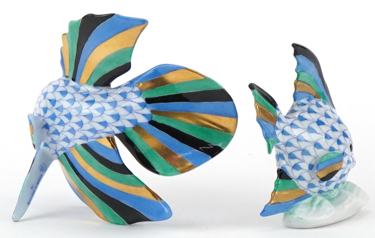 Herend, Hungarian hand painted porcelain fishnet pattern Angel fish and Betta fish, the largest 8. - Image 2 of 3