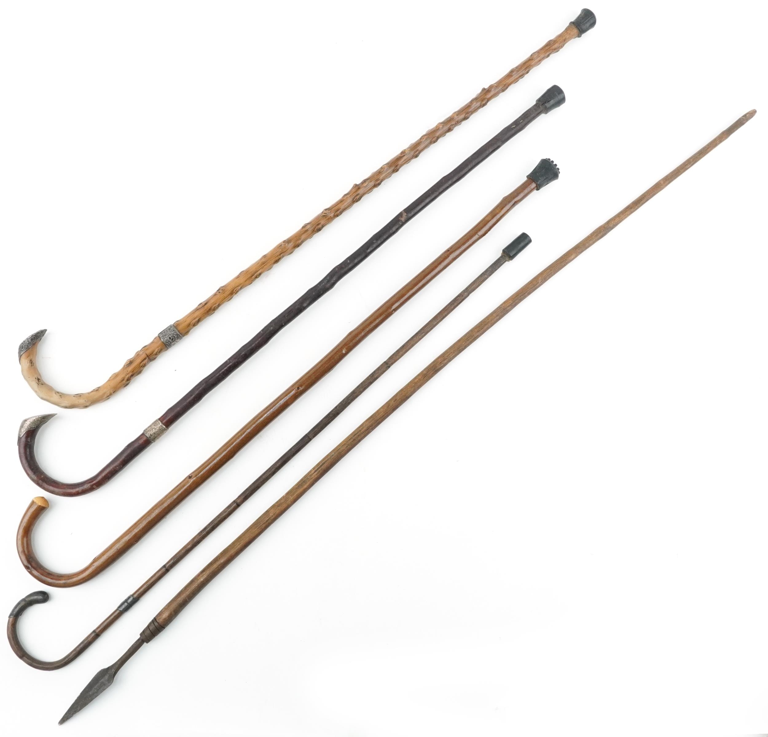 Selection of wooden walking sticks canes including silver mounted examples and a spear the largest - Image 3 of 5