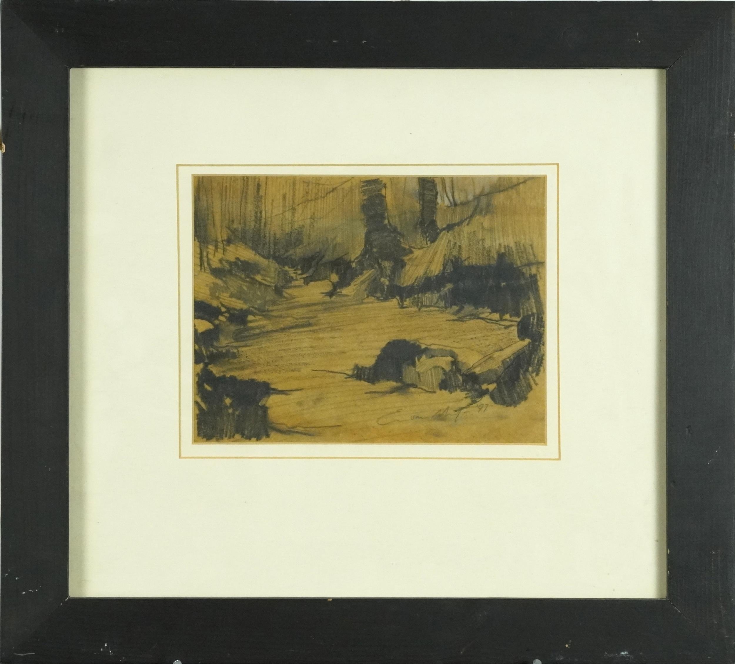 Emerson Hayes 1997 - River Edge, charcoal, chalk and graphite, inscribed Arcturus Fine Art Limited - Image 2 of 5