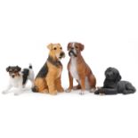 Four large decorative model dogs including Sandicast Labrador pup and Hotant Jack Russell 46cms high