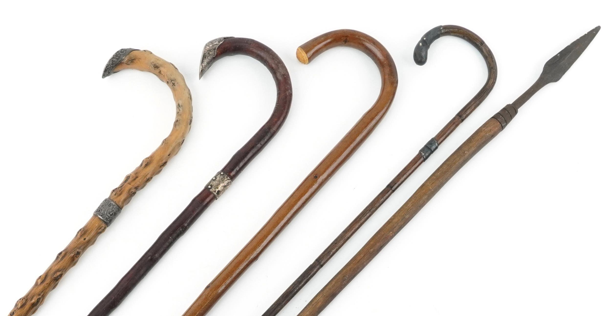 Selection of wooden walking sticks canes including silver mounted examples and a spear the largest