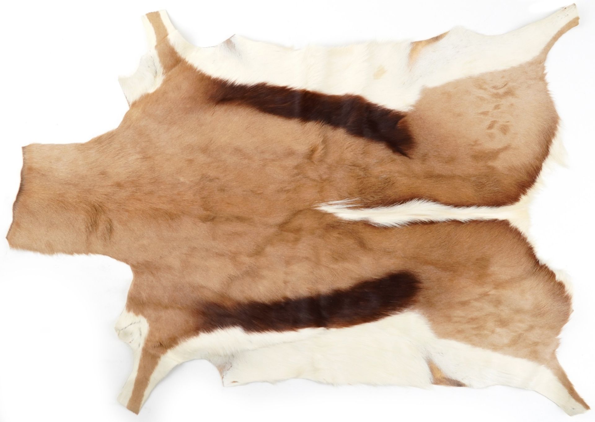 Contemporary animal hide rug, 103cm in length