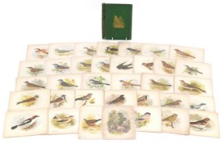 Collection of coloured songbird engravings and an Our Native Songsters book binding