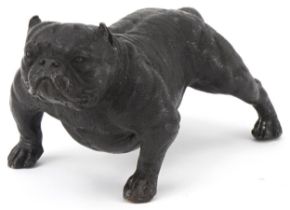 Patinated bronze study of a British Bulldog, 20cm in length