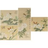 Birds and butterflies amongst flowers, four Chinese watercolours onto silk, each with calligraphy