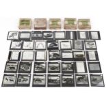 Collection of natural history interest magic lantern glass slides including various animals and
