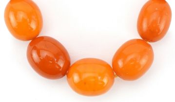 Butterscotch amber coloured graduated bead necklace, the largest bead approximately 18mm x 15mm in