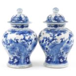 Pair of 18th century Chinese blue and white ginger jars hand painted with birds amongst flowers