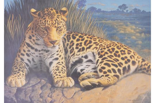 Two John Wilkinson Image-Direct prints, one of a leopard, one of a tiger, each with a certificate of - Image 6 of 9