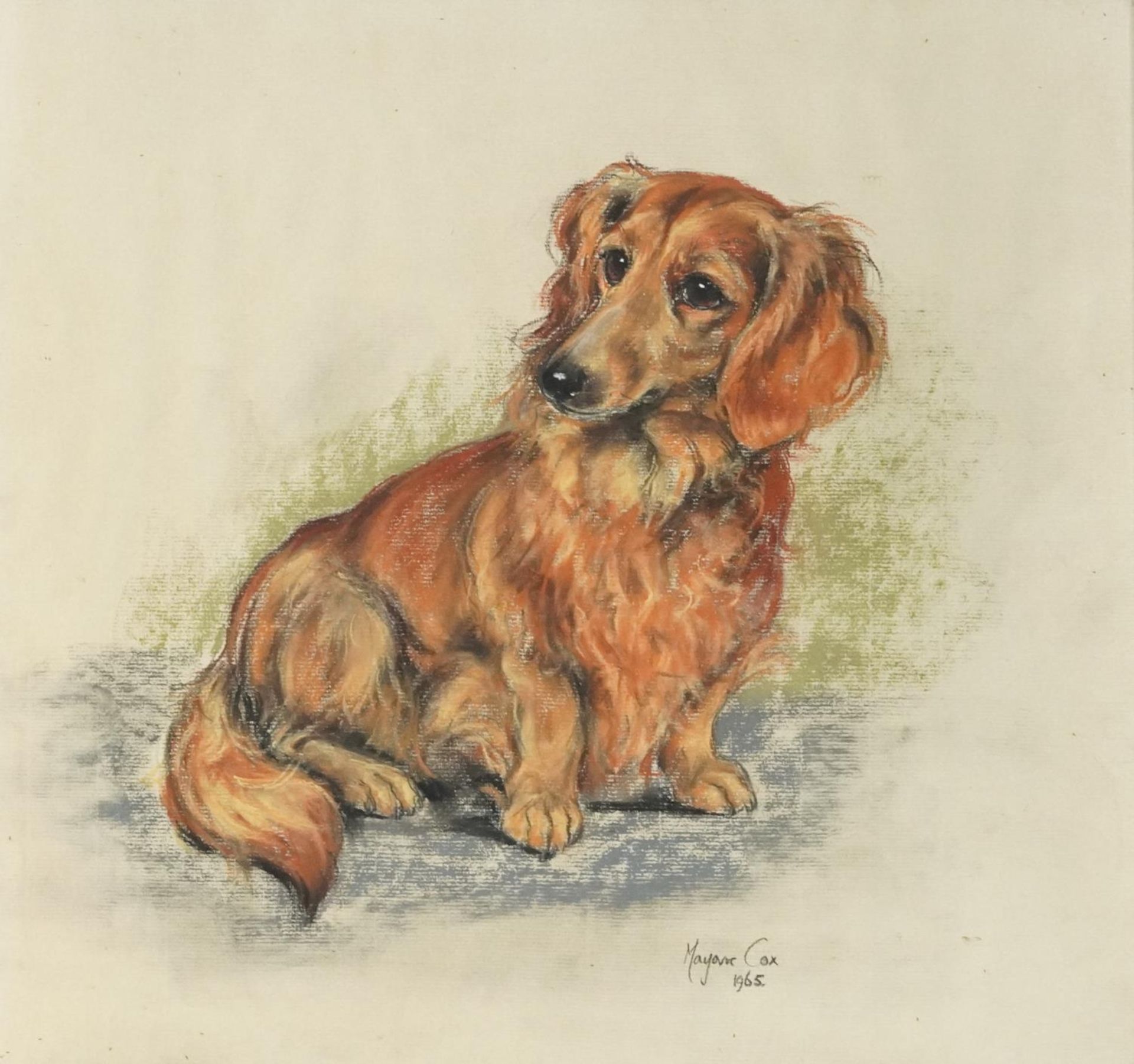 Marjorie Cox - Portrait of a Terrier, mid 20th century British School, pastels on paper, signed