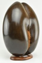 LARGE POLISHED COCO DE MER NUT ON WOODEN BASE