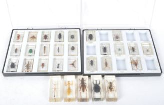 ENTOMOLOGY INTEREST RESIN SET INSECTS, SPIDERS, BEETLES ETC