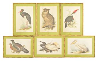 EDWARD LEAR - SIX FRAMED AND GLAZED ORNITHOLOGY PLATES