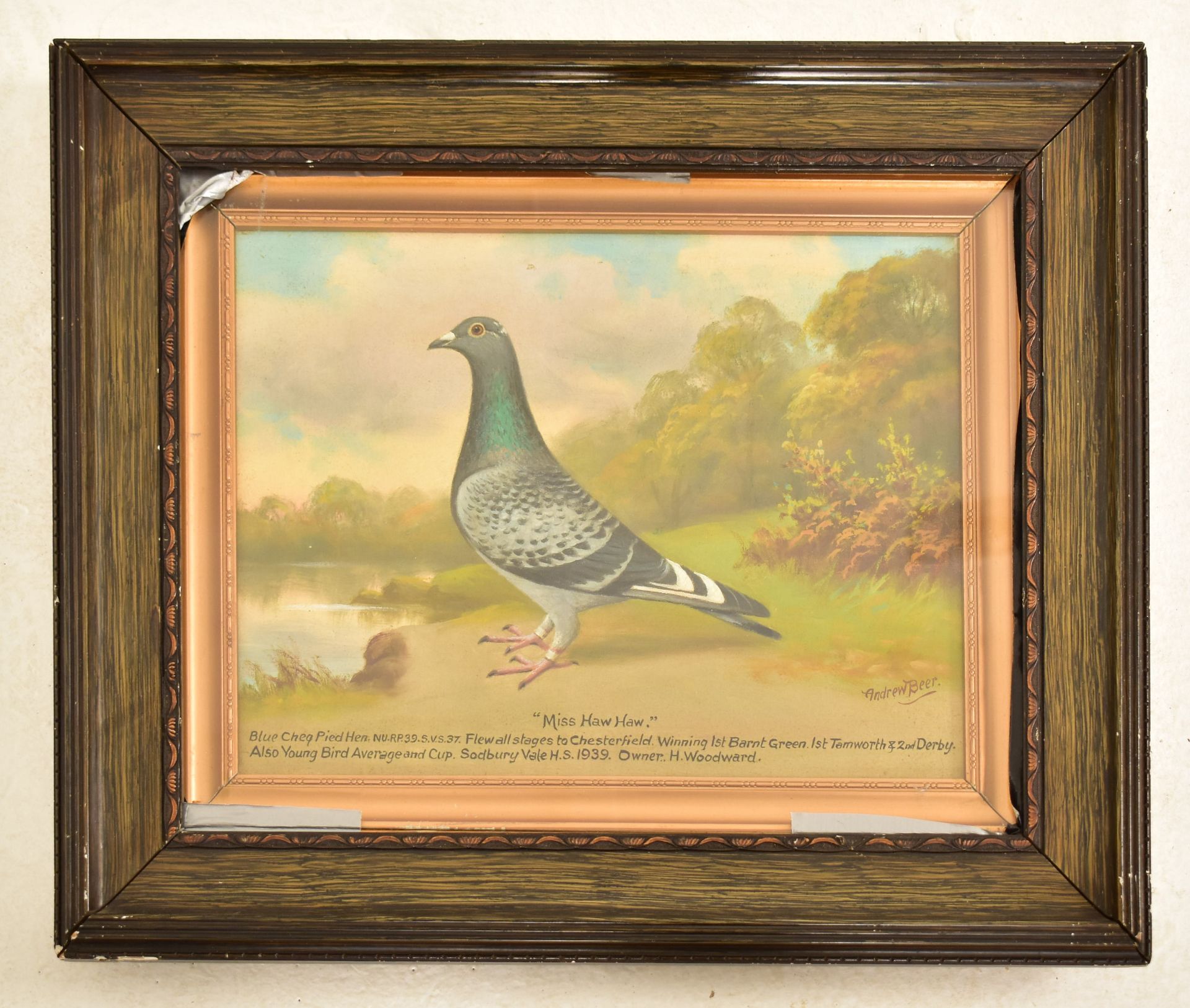 ANDREW BEER (1862-1954) - OIL ON BOARD PIGEON PAINTING - Image 2 of 6