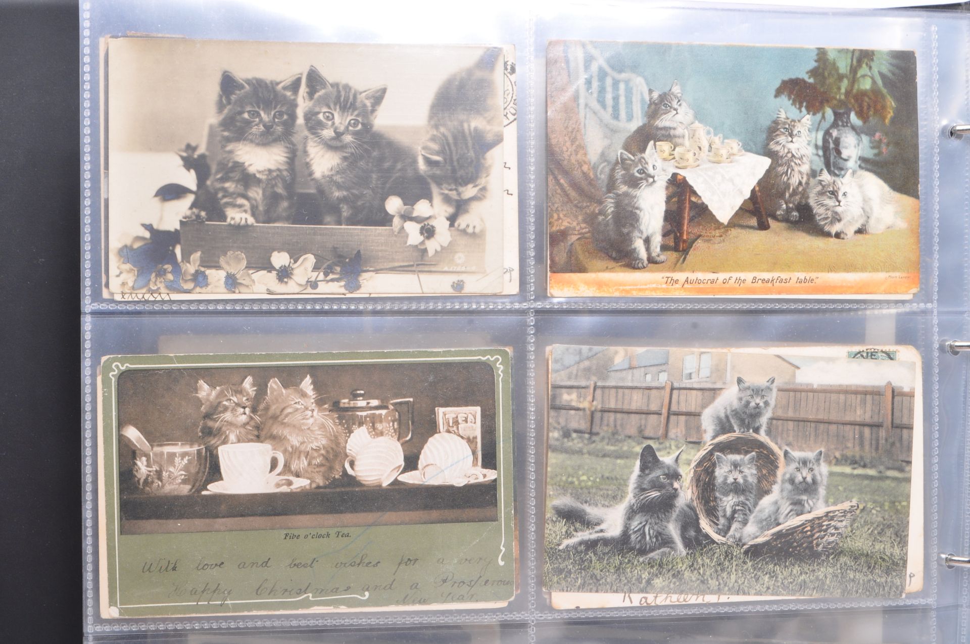 COLLECTION OF MID 20TH CENTURY CATS & KITTENS POSTCARDS - Image 5 of 18
