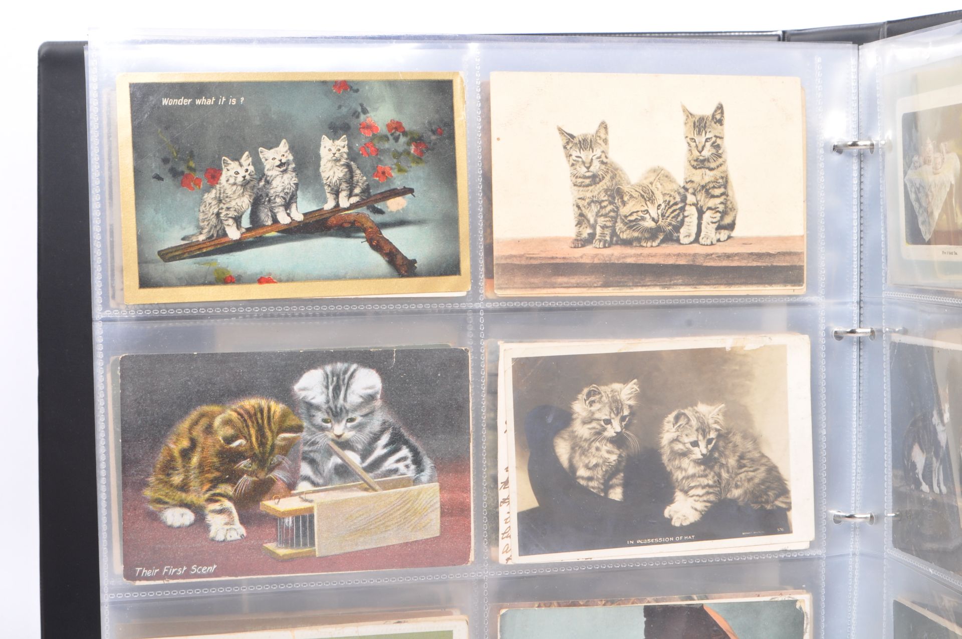 COLLECTION OF MID 20TH CENTURY CATS & KITTENS POSTCARDS - Image 6 of 18