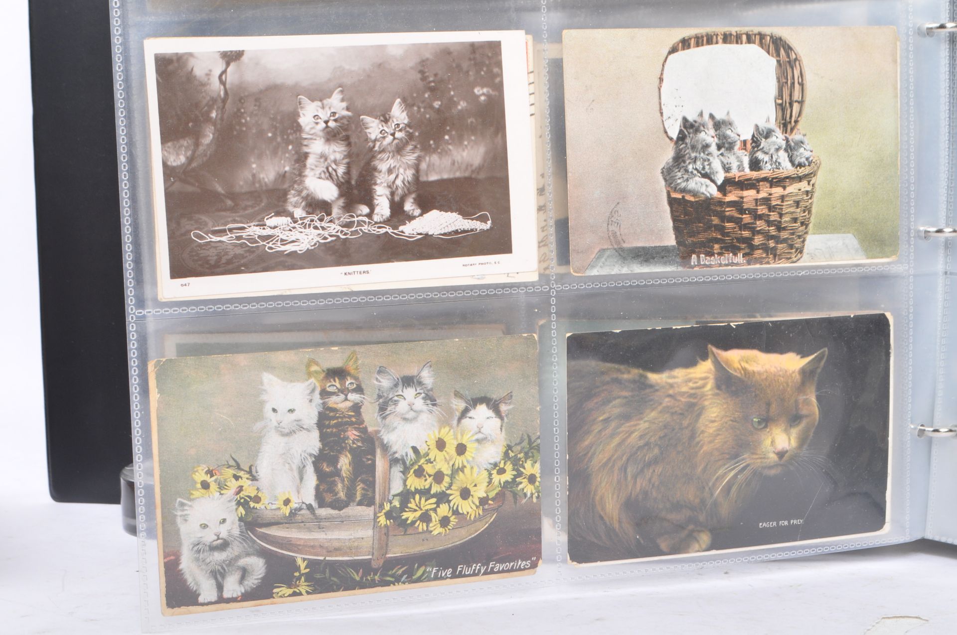 COLLECTION OF MID 20TH CENTURY CATS & KITTENS POSTCARDS - Image 7 of 18