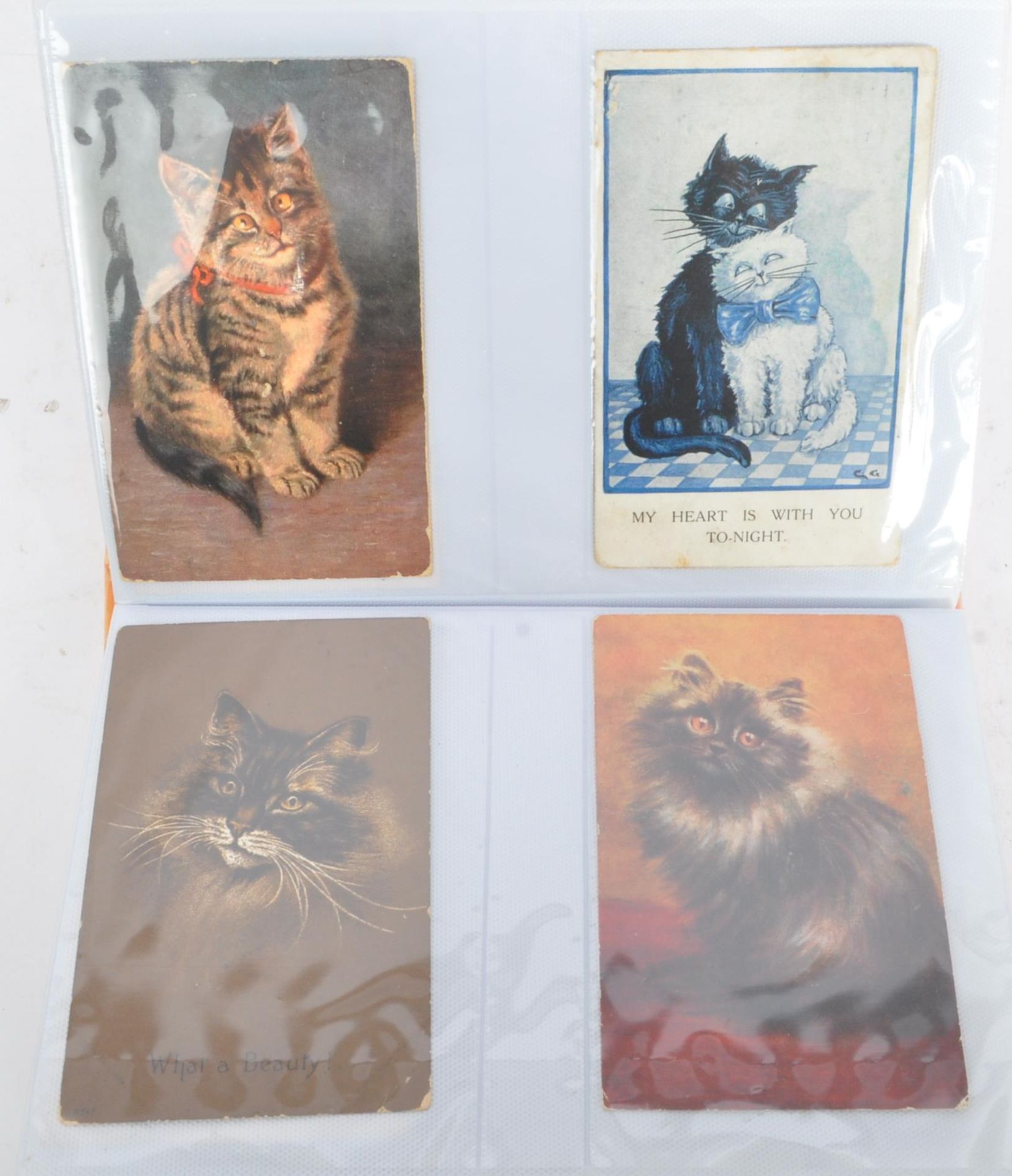 COLLECTION OF MID 20TH CENTURY CATS & KITTENS POSTCARDS - Image 12 of 18