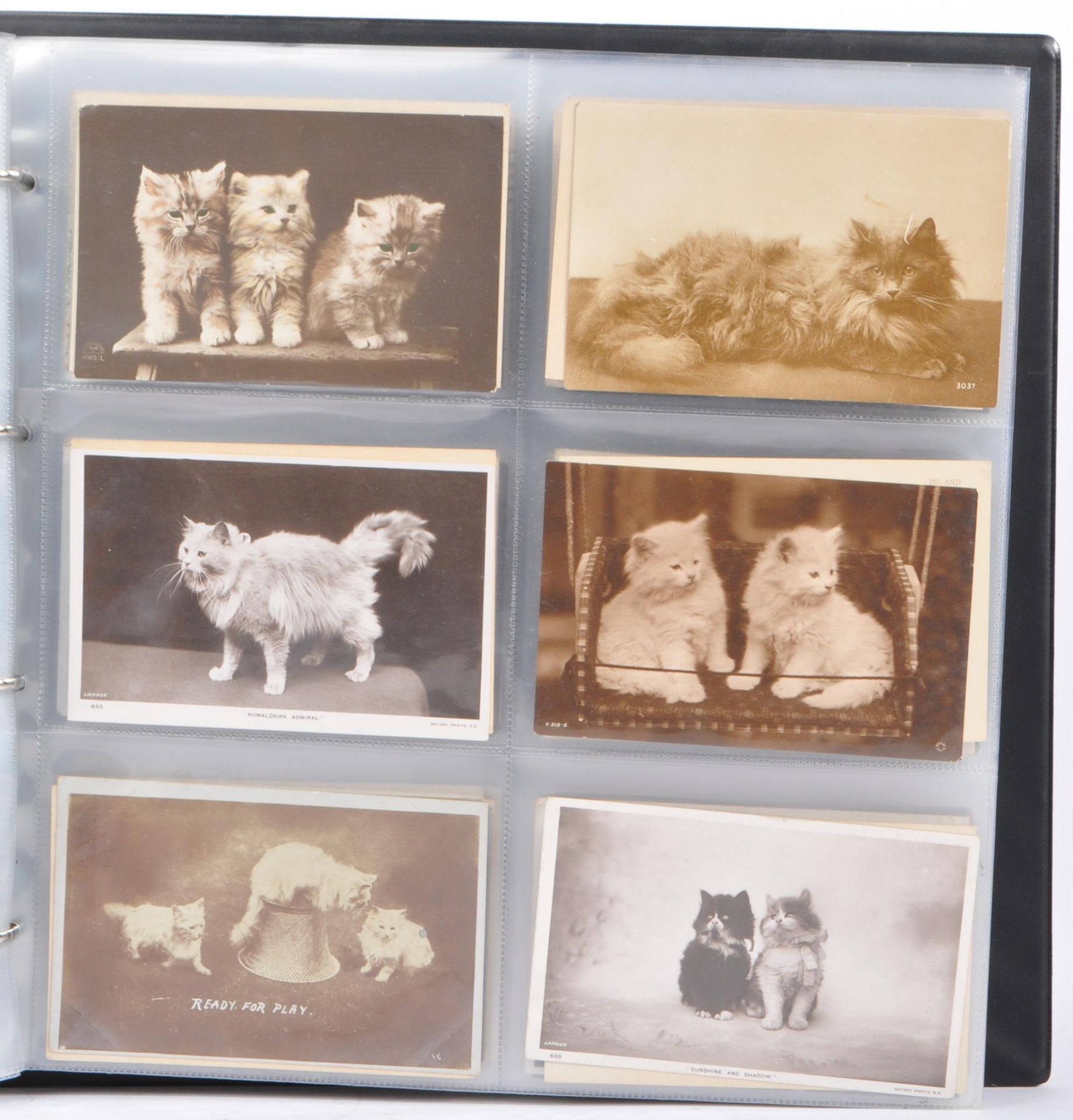 COLLECTION OF MID 20TH CENTURY CATS & KITTENS POSTCARDS - Image 9 of 18