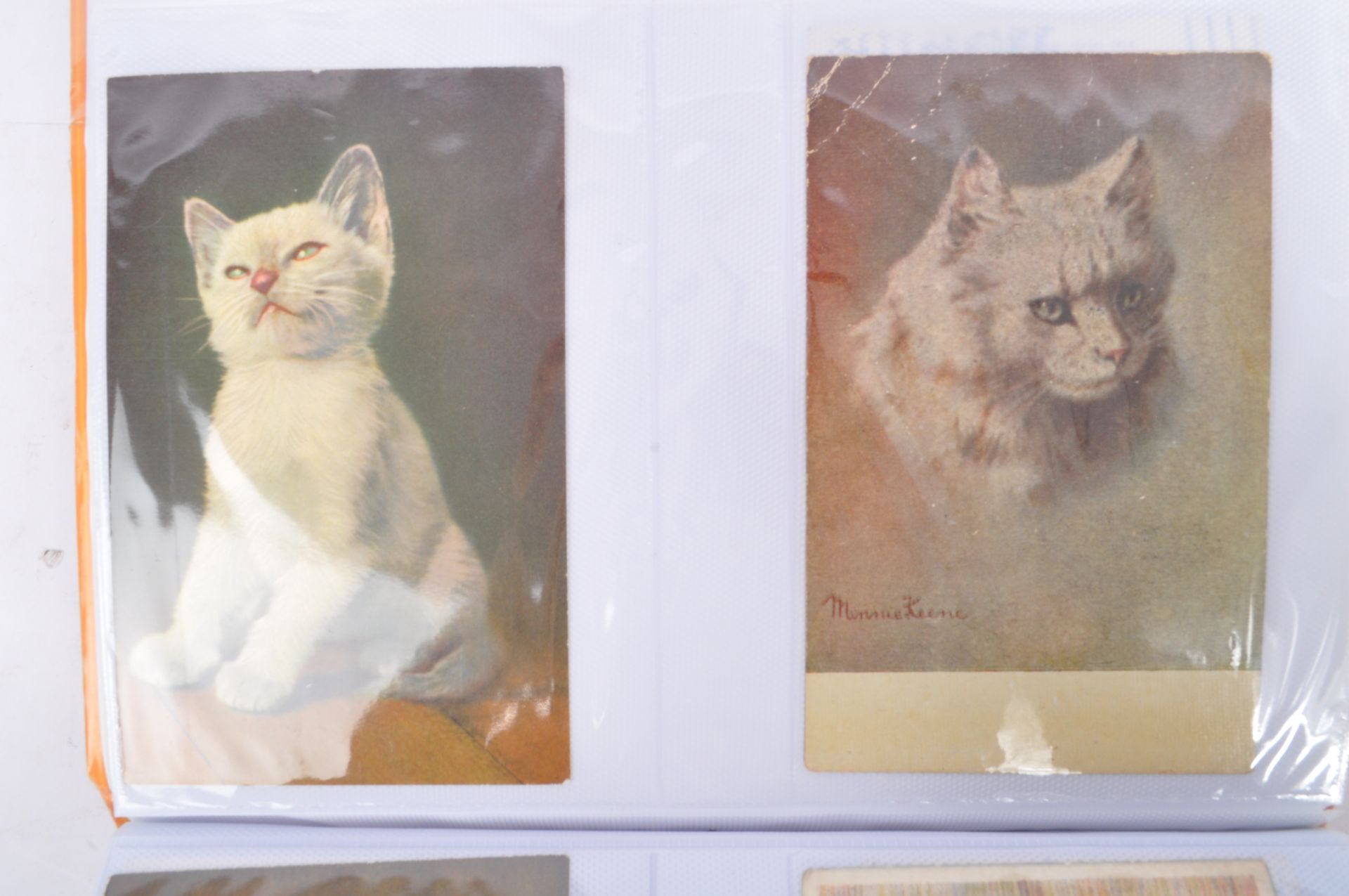 COLLECTION OF MID 20TH CENTURY CATS & KITTENS POSTCARDS - Image 18 of 18