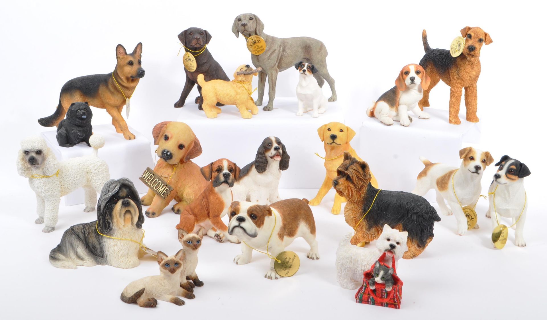 COLLECTION OF DOG STUDY FIGURINES BY THE LEONARDO COLLECTION - Image 2 of 13