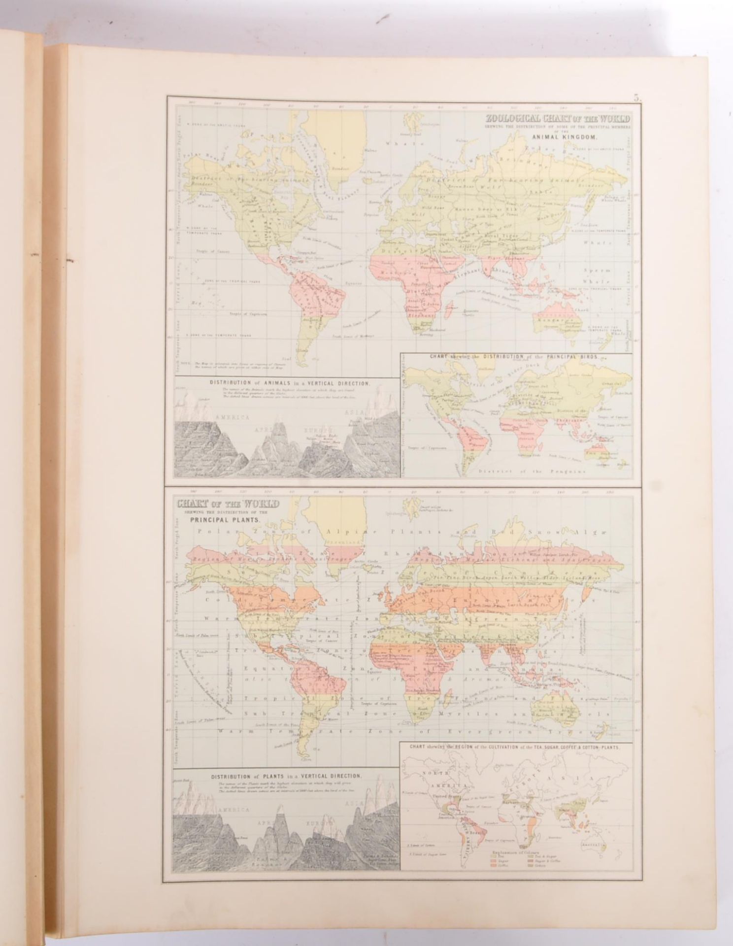 LATE 19TH CENTURY BLACK'S GENERAL ATLAS OF THE WORLD - Image 5 of 9