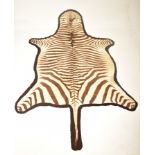 20TH CENTURY TAXIDERMY ZEBRA SKIN HIDE RUG / HANGING