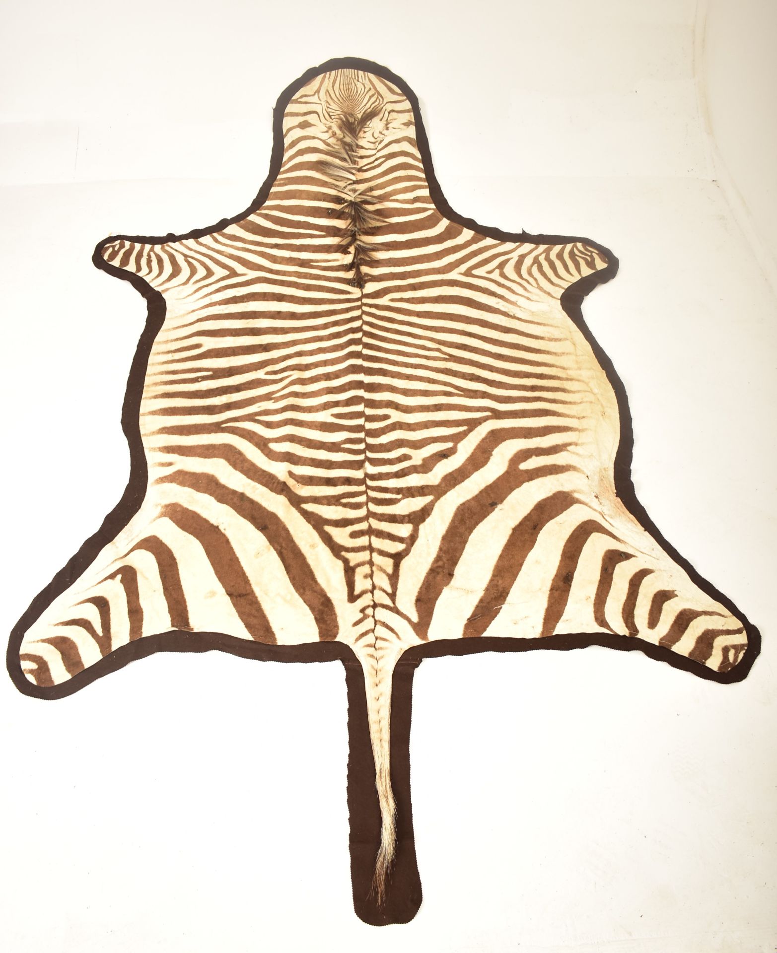 20TH CENTURY TAXIDERMY ZEBRA SKIN HIDE RUG / HANGING