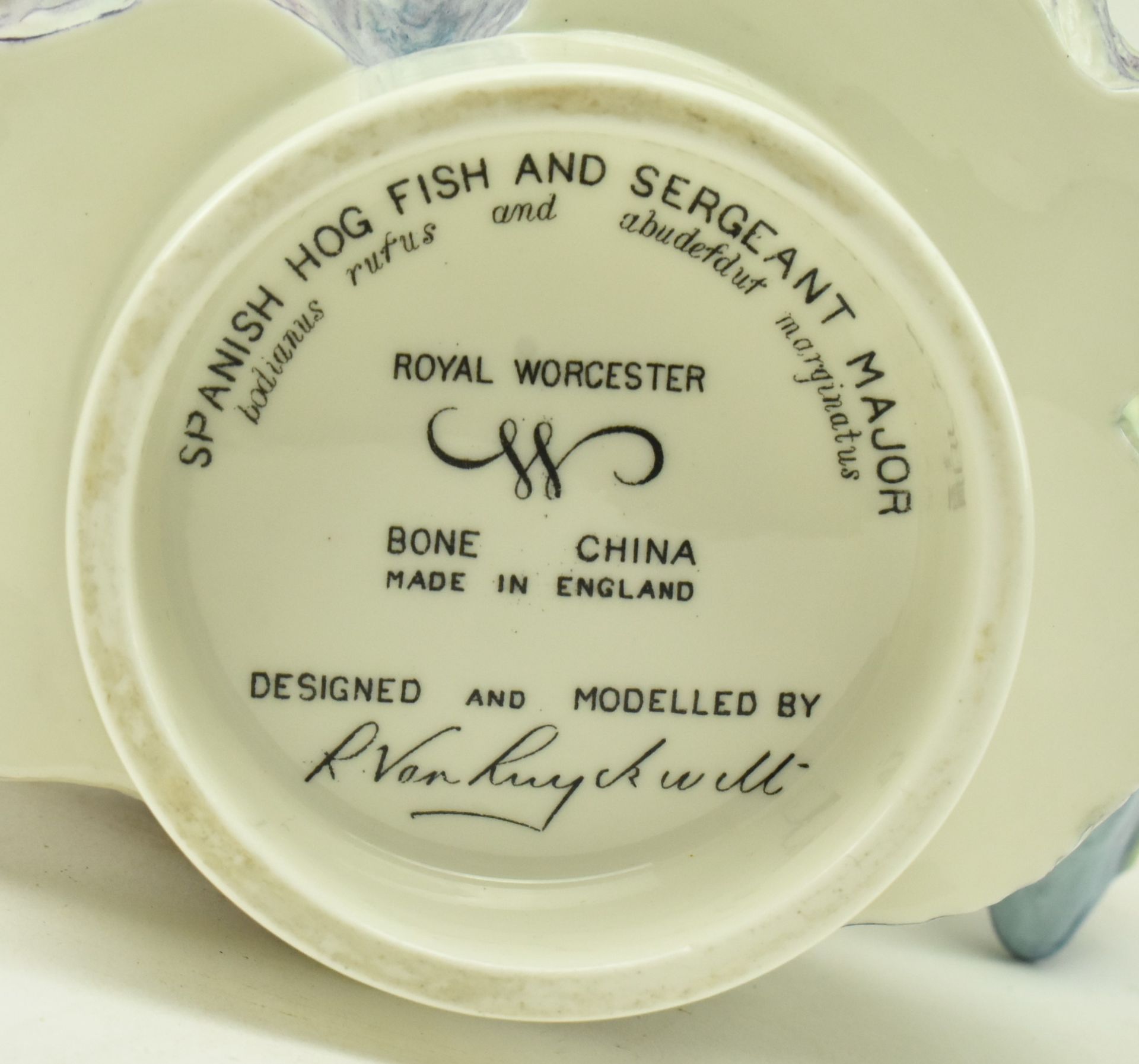 1950S ROYAL WORCESTER FISH SCULPTURE BY RON VAN RUYCKEVELT - Image 7 of 8