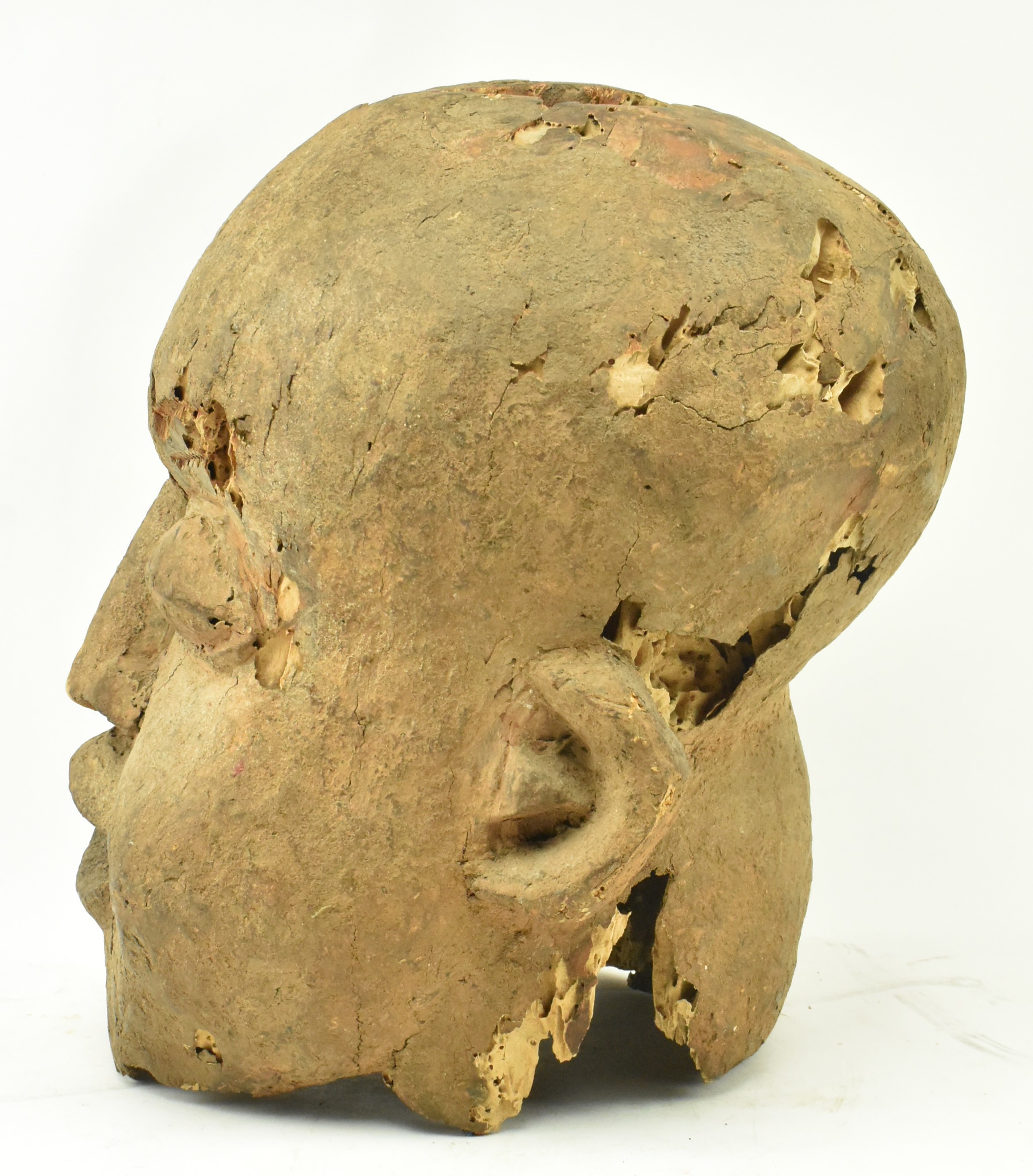 LARGE CENTRAL AFRICAN CAMEROON TRIBAL CARVED WOOD HEAD BUST - Image 7 of 8