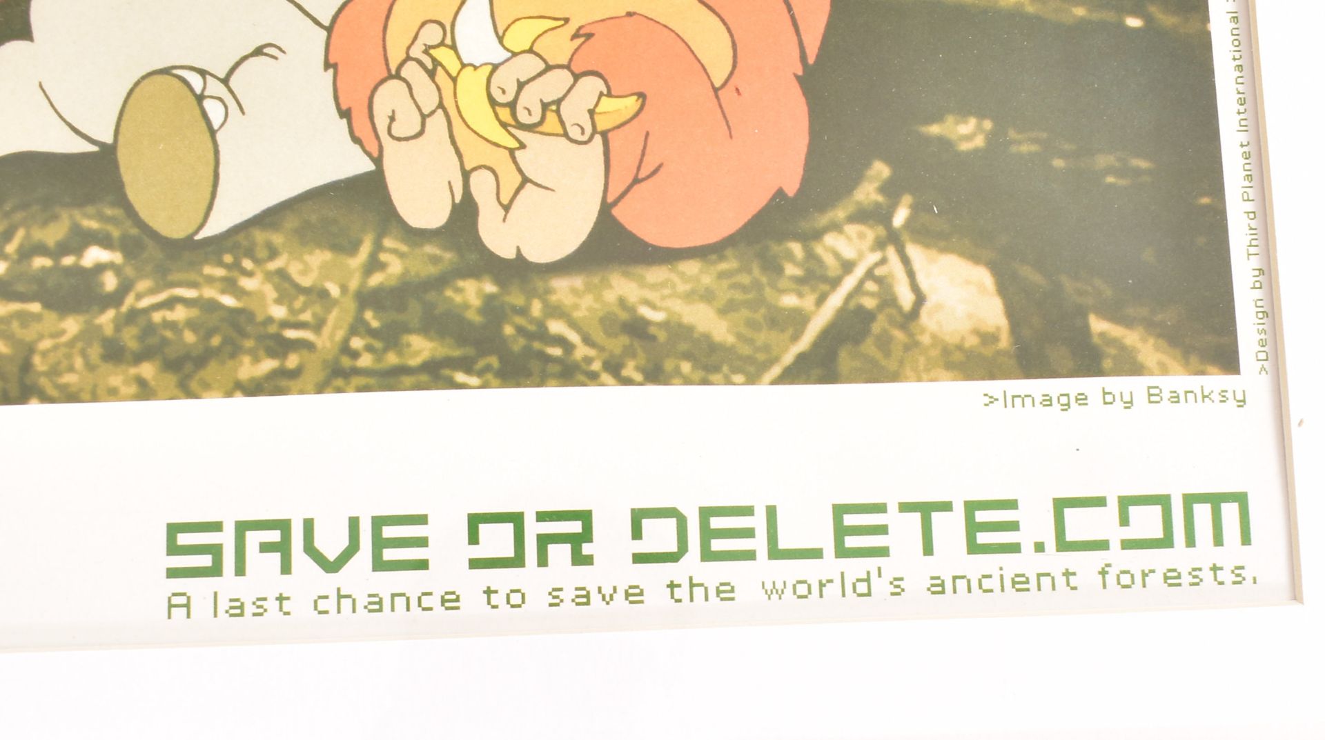 AFTER BANKSY (B. 1973) - SAVE AND DELETE GREEN PEACE POSTER - Image 5 of 7