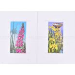 MARDON SON & HALL - FLOWERS - ORIGINAL CIGARETTE CARD ARTWORK
