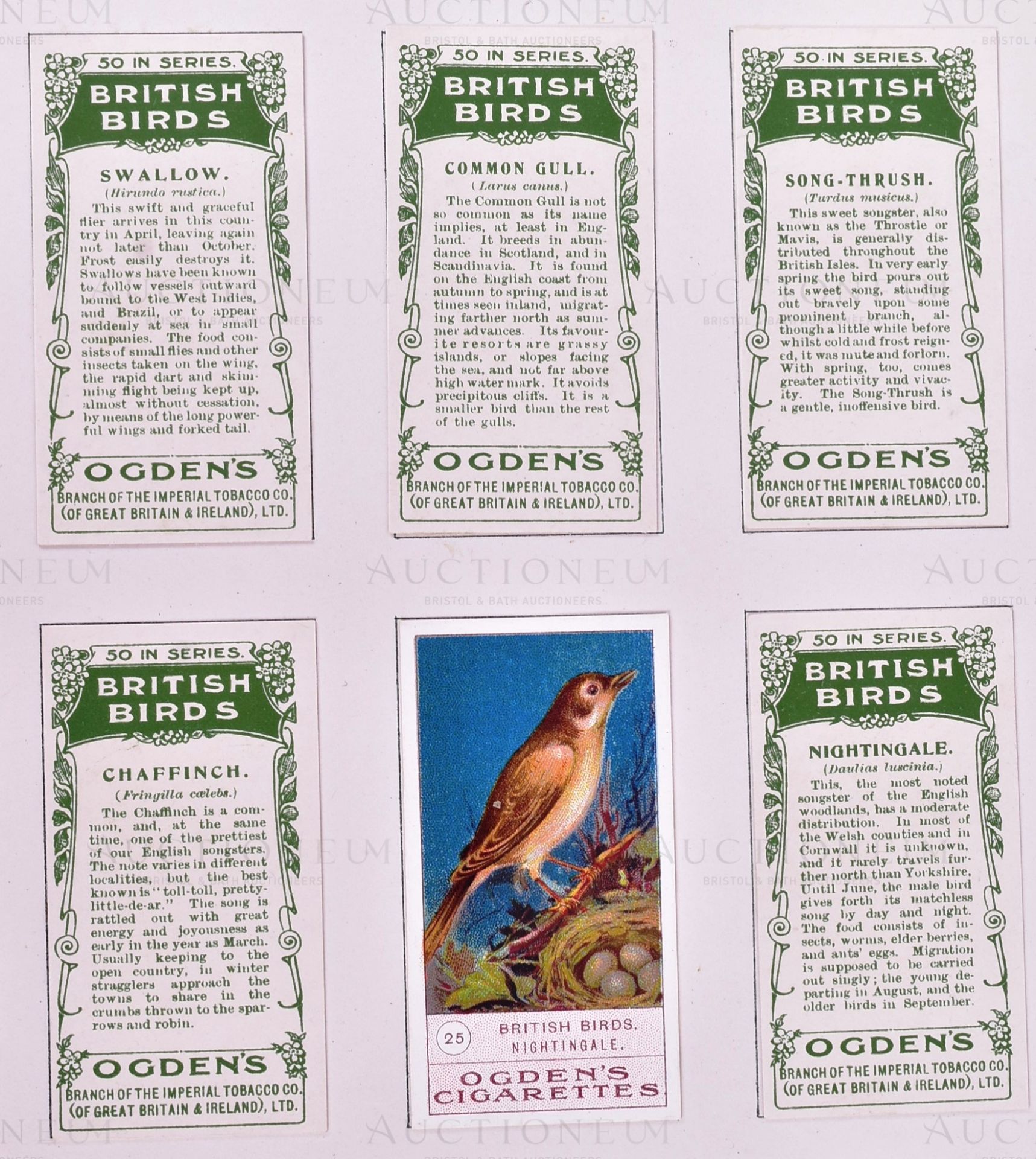 MARDON, SON & HALL - CIGARETTE CARDS - ORIGINAL PROOF CARDS - Image 6 of 6