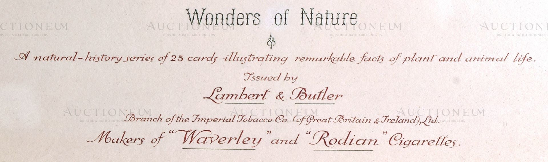 LAMBERT AND BUTLER CIGARETTE CARDS (1924) - ORIGINAL ARTWORK - Bild 8 aus 9
