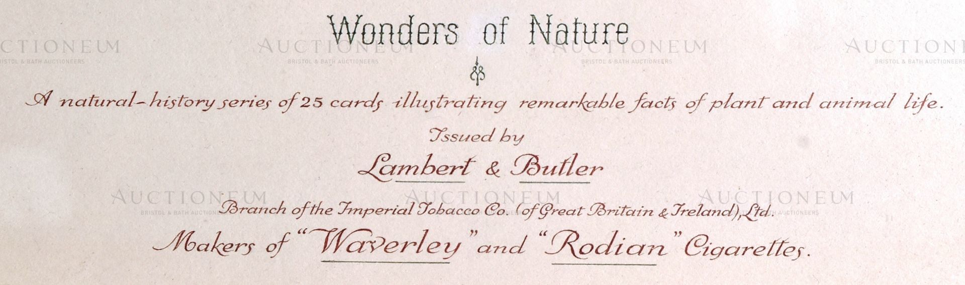 LAMBERT AND BUTLER CIGARETTE CARDS (1924) - ORIGINAL ARTWORK - Image 8 of 9