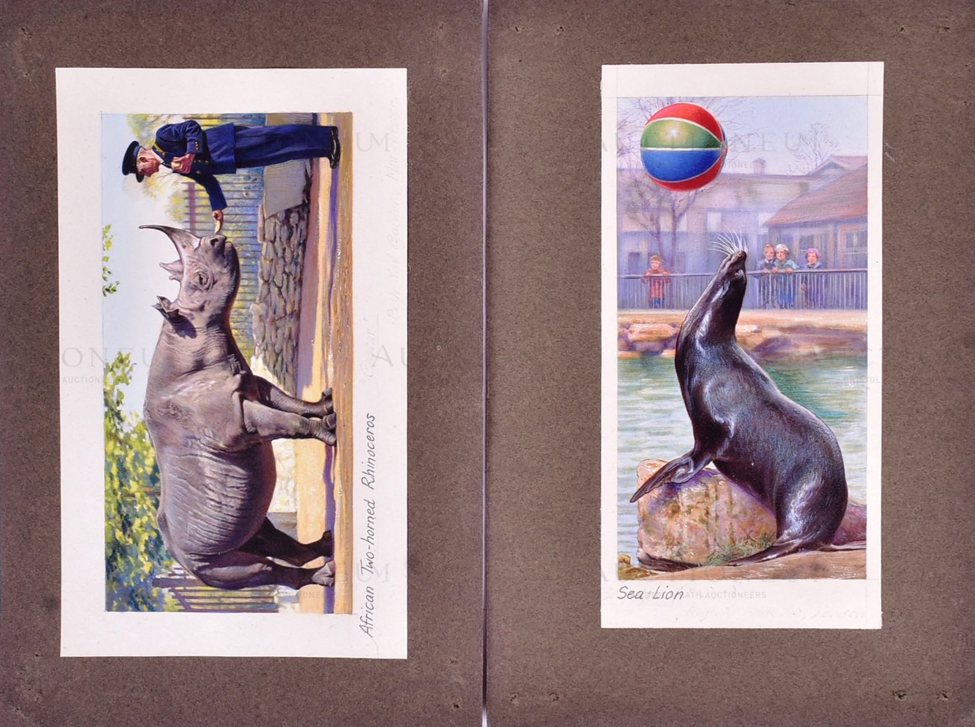 W.D. & H.O. WILLS - ZOO FRIENDS (1939) - ORIGINAL ARTWORK