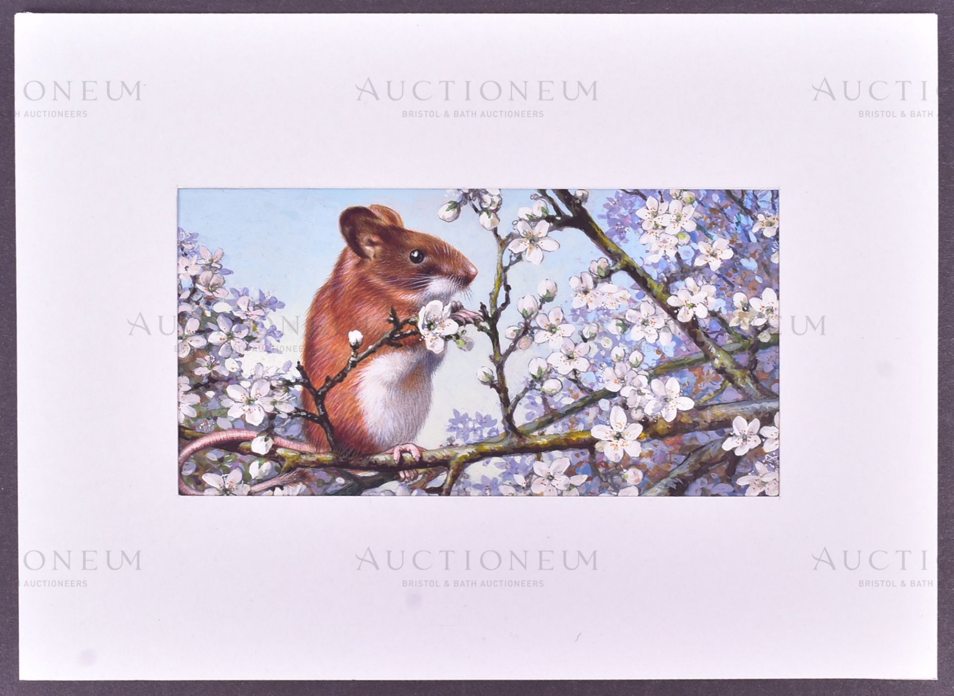 MARDON SON & HALL - CIGARETTE CARDS - ORIGINAL ARTWORK - Image 2 of 4