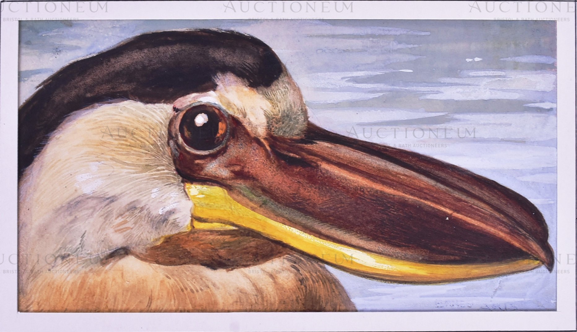 PLAYER'S (1929) - 'CURIOUS BEAKS' ORIGINAL CIGARETTE CARD ARTWORK - Image 2 of 8