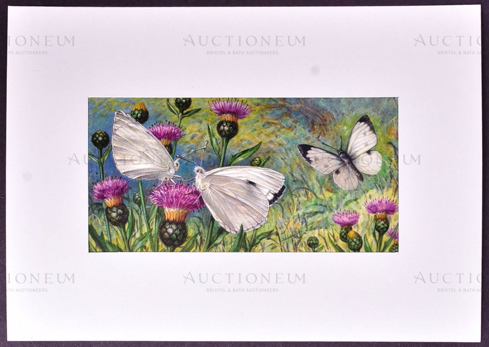 MARDON SON & HALL - CIGARETTE CARDS - ORIGINAL ARTWORK - Bild 2 aus 4