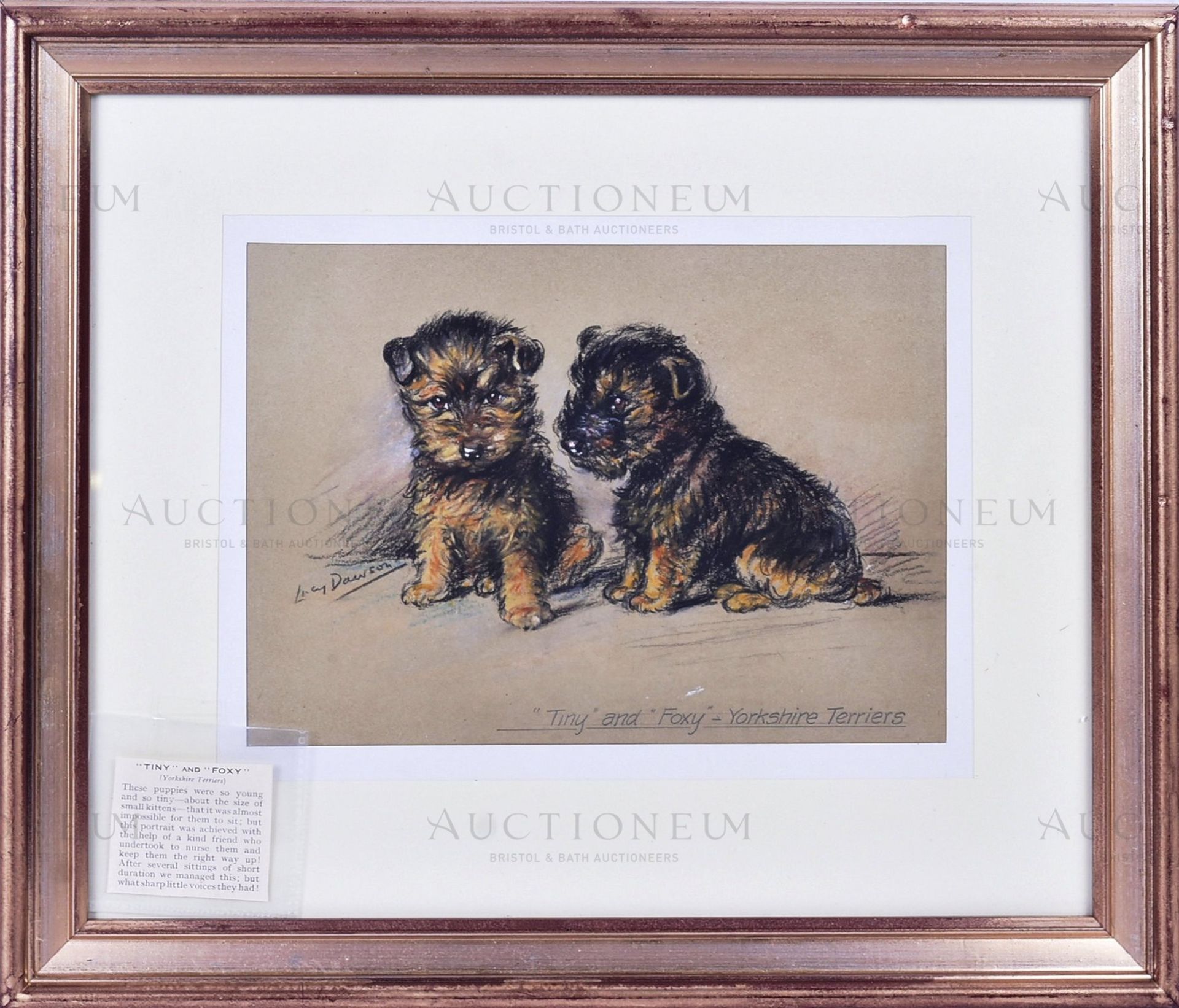 LUCY DAWSON (1870 - 1954) - ORIGINAL ARTWORK - Image 2 of 5