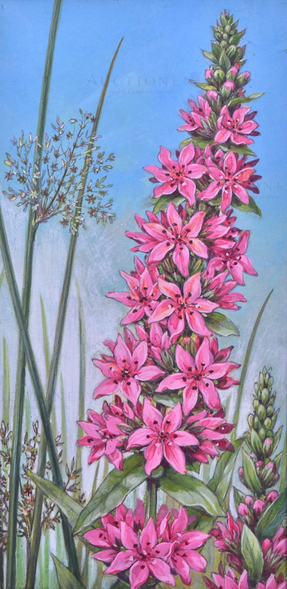 MARDON SON & HALL - FLOWERS - ORIGINAL CIGARETTE CARD ARTWORK - Bild 2 aus 4