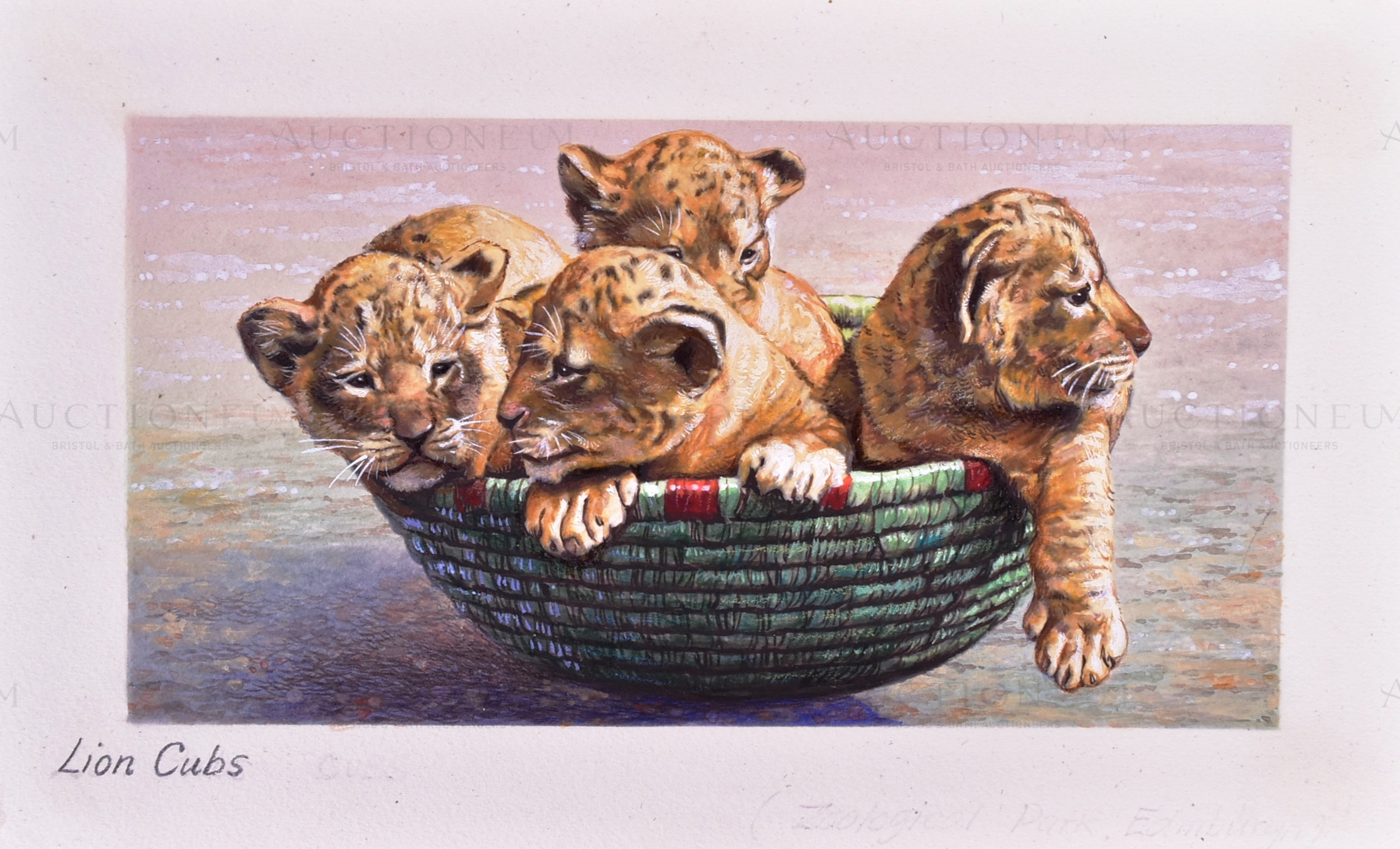 W.D. & H.O. WILLS - ZOO FRIENDS (1939) - ORIGINAL ARTWORK - Image 2 of 5