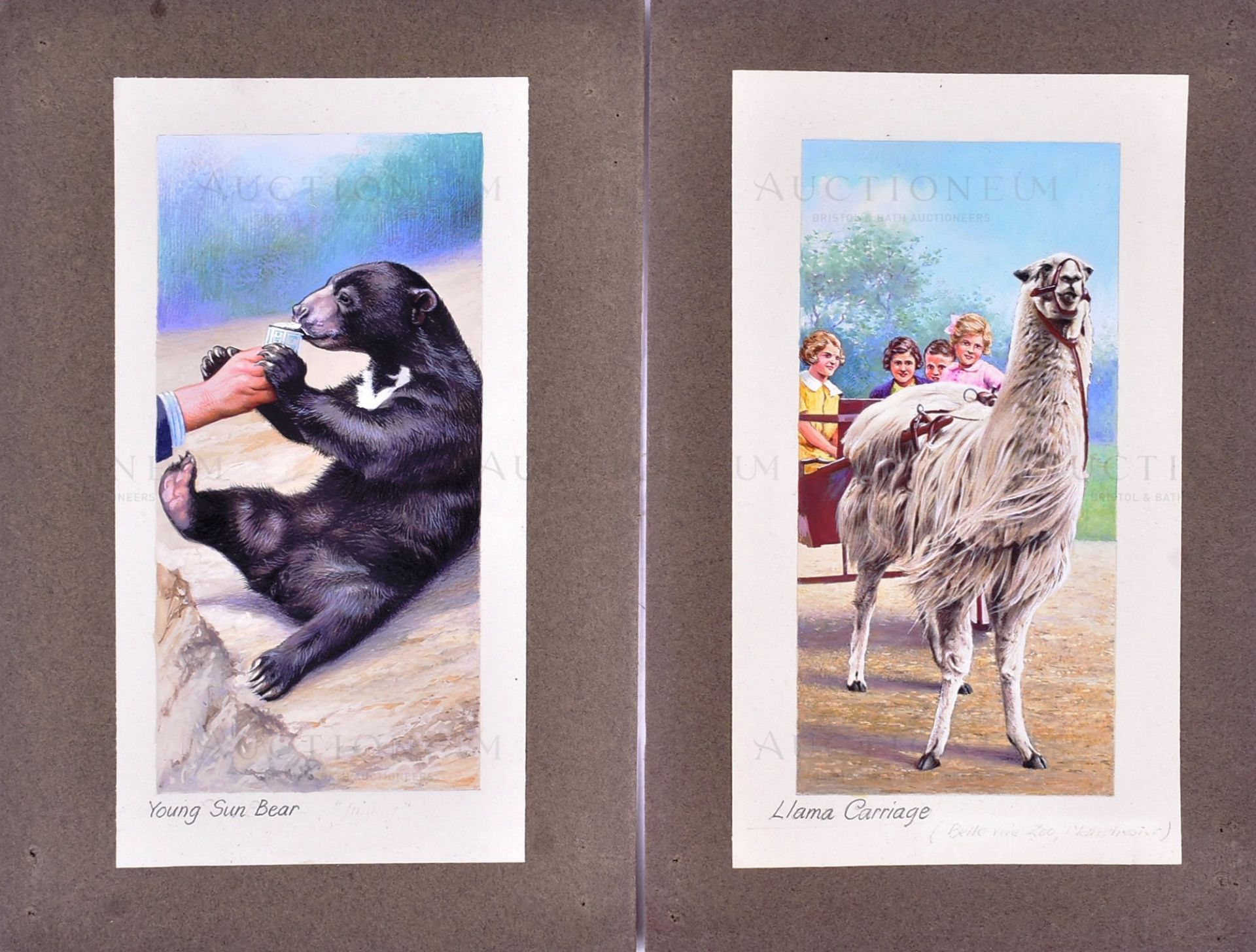 W.D. & H.O. WILLS - ZOO FRIENDS (1939) - ORIGINAL ARTWORK