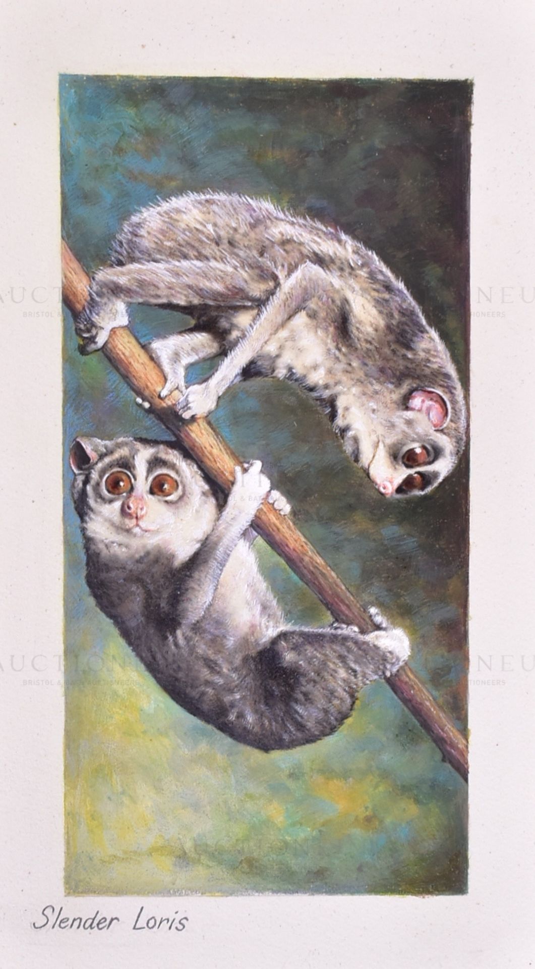 W.D. & H.O. WILLS - ZOO FRIENDS (1939) - ORIGINAL ARTWORK - Image 2 of 3