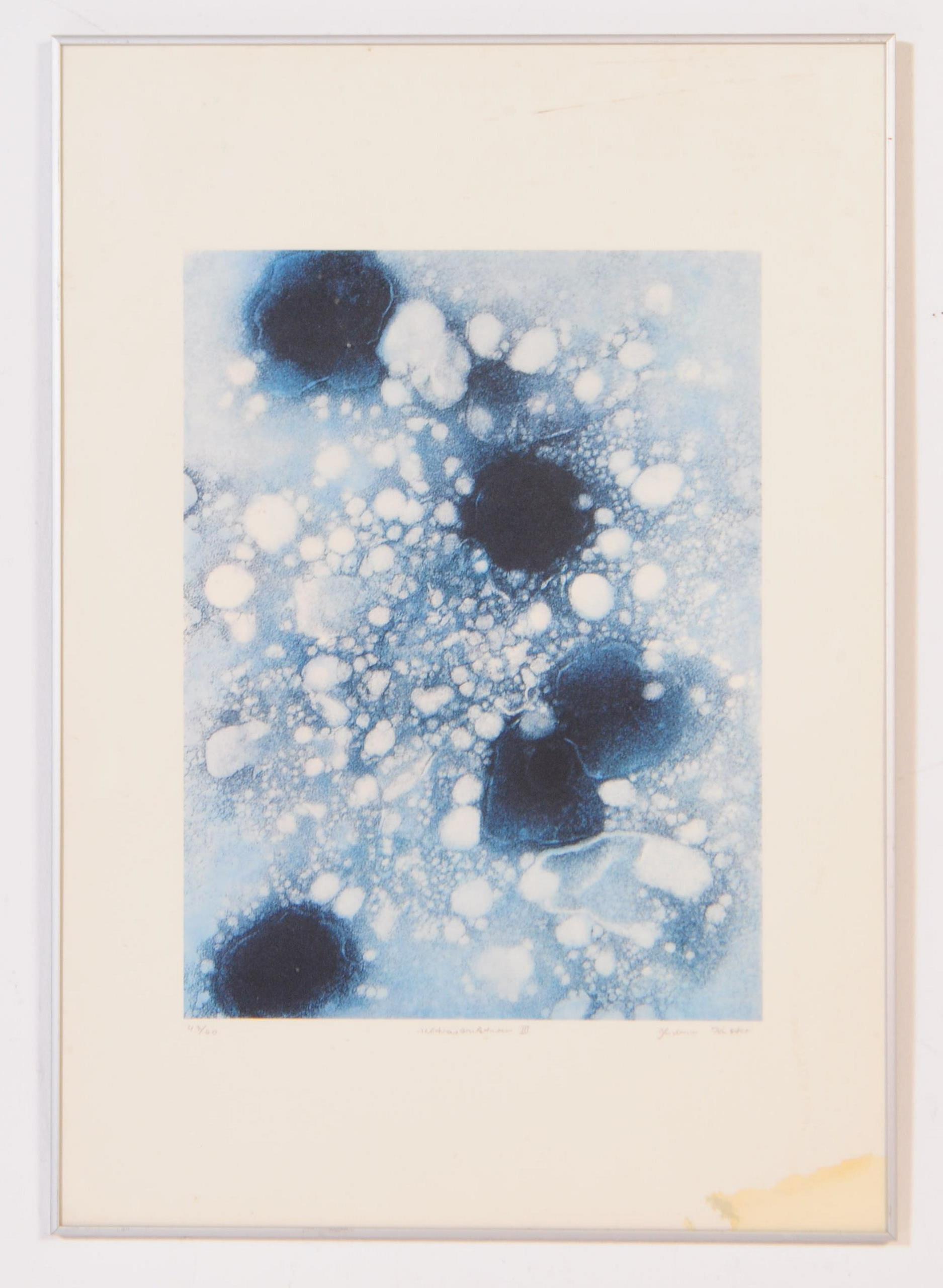 THREE GUDRUN KUTTER ULTRASTRUCTURE LIMITED EDITION PRINTS - Image 3 of 11